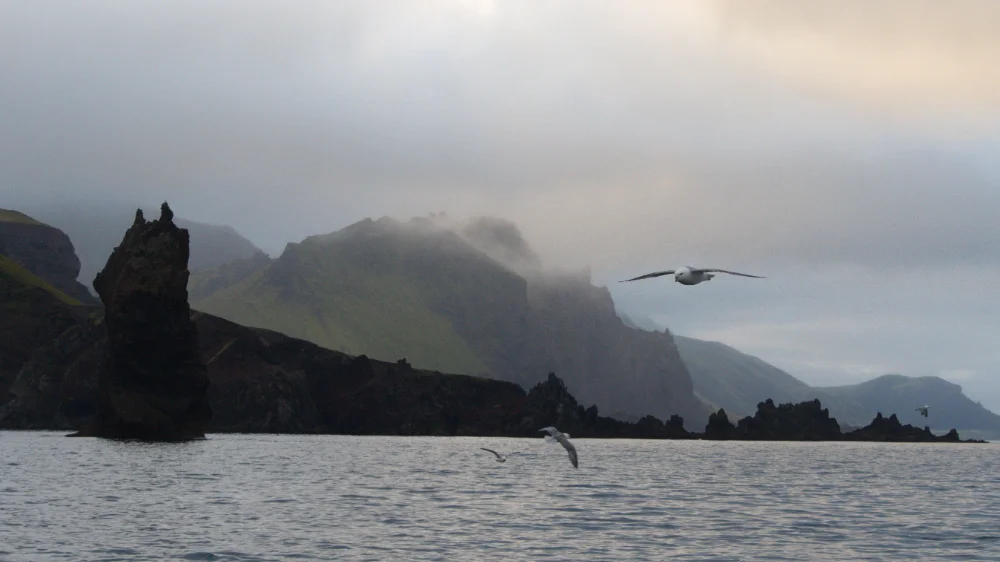 Rozeklané, zasmušilé západní pobřeží ostrova Jan Mayen částečně schované v mlze s párem letících Buřňáků nad hladinou moře.